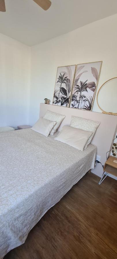 Maison De Ville Au Bord Du Lez, 170M2 Cosy. Bollene Ngoại thất bức ảnh