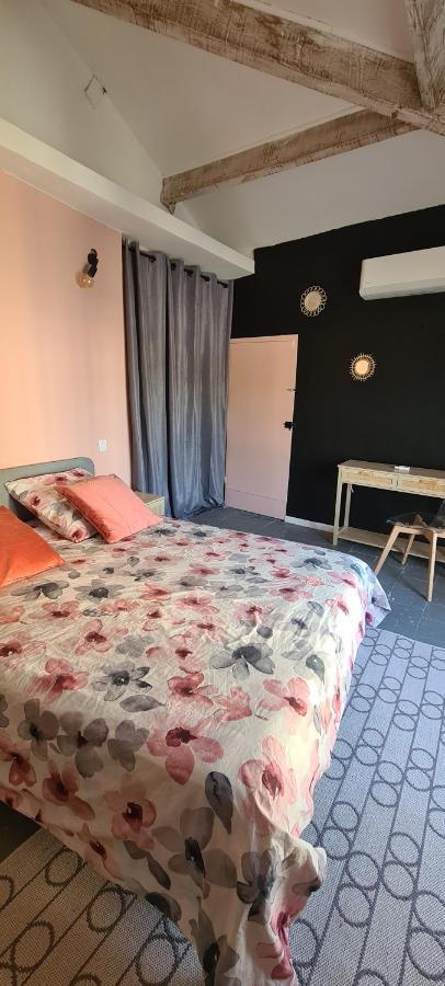 Maison De Ville Au Bord Du Lez, 170M2 Cosy. Bollene Ngoại thất bức ảnh